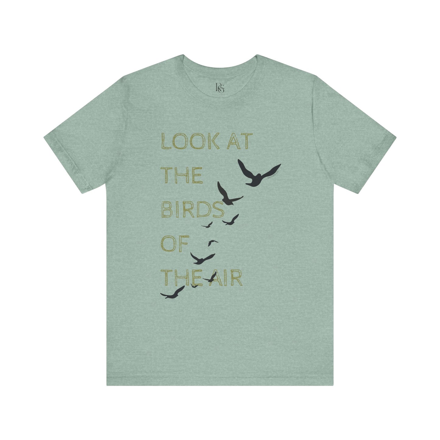 Look At The Birds Of The Air