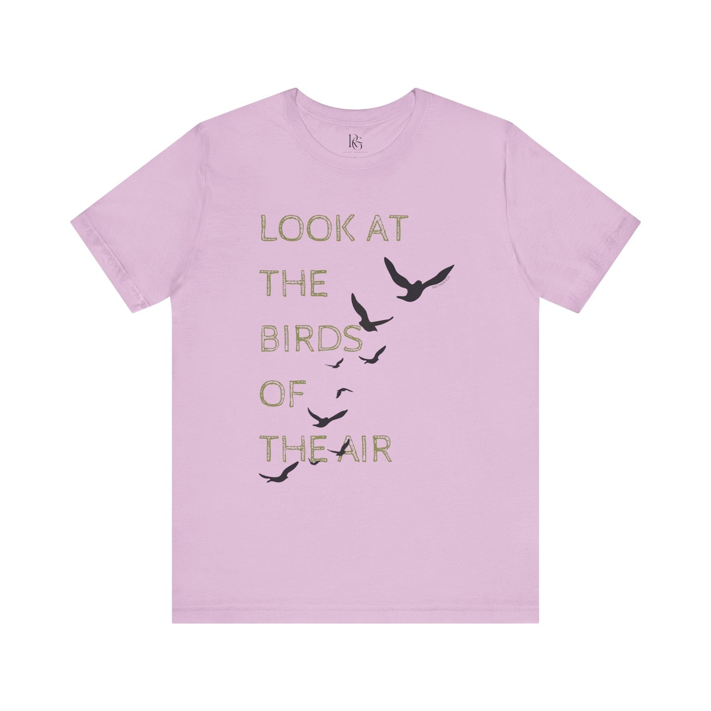 Look At The Birds Of The Air