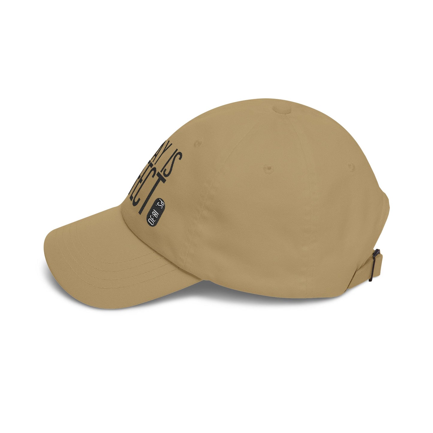 His Way Is Perfect Dad Hat