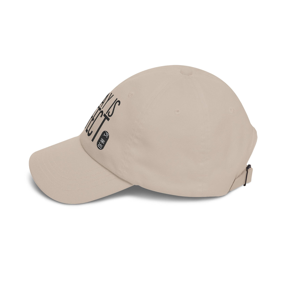 His Way Is Perfect Dad Hat